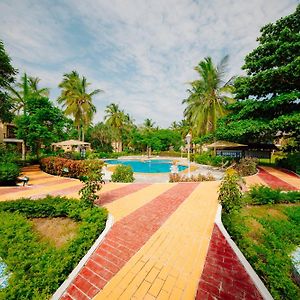 King Room Pool View